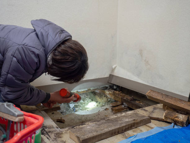 Mold Odor Removal Services in Snellville, GA