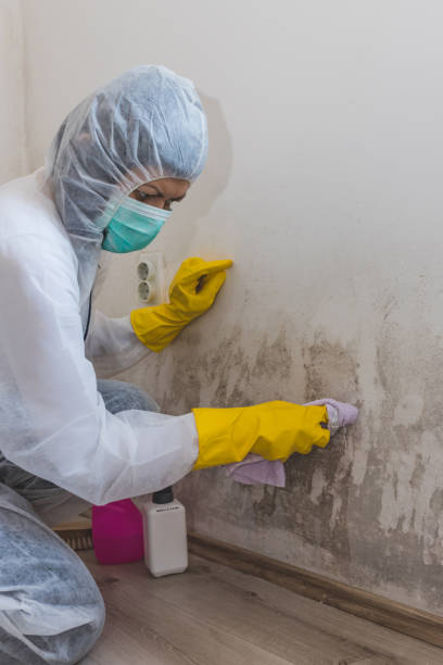Best Forensic Mold Investigation  in Snellville, GA