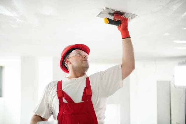 Best Mold Remediation for Healthcare Facilities  in Snellville, GA